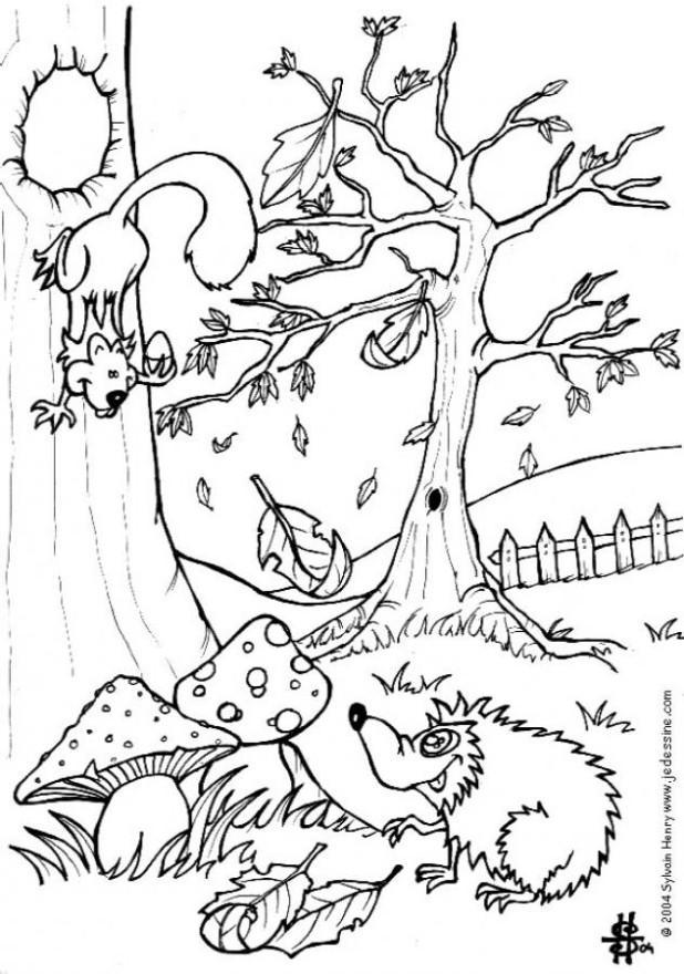 herfst - egel en eekhoorn Kleurplaat herfst - egel en eekhoorn