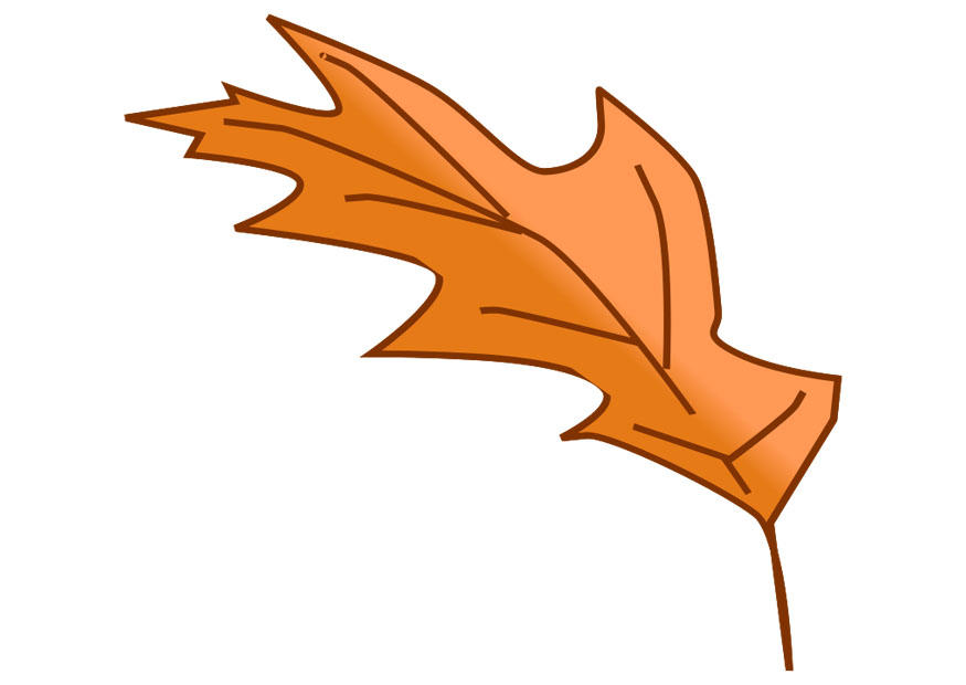 herfstblad Afbeelding herfstblad
