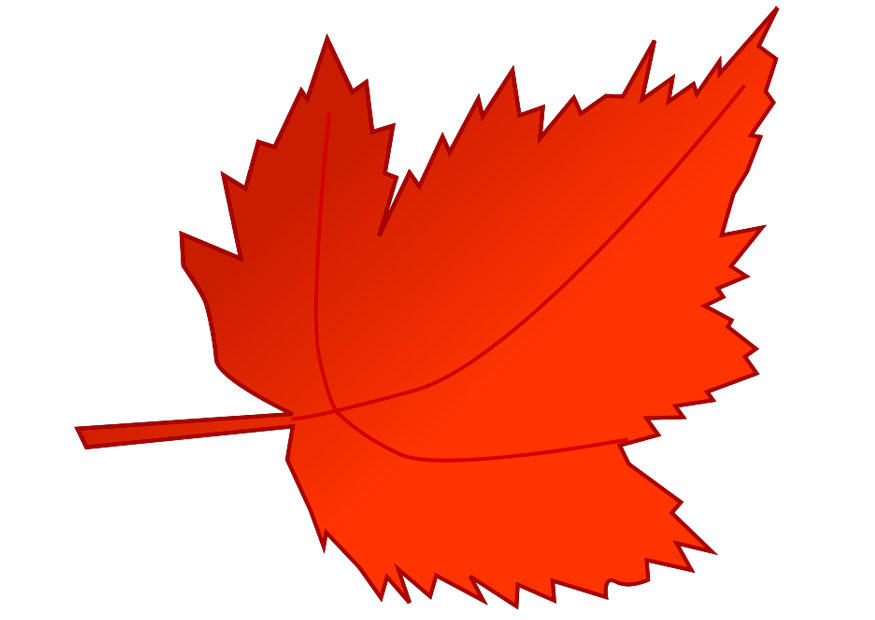 herfstblad Afbeelding herfstblad