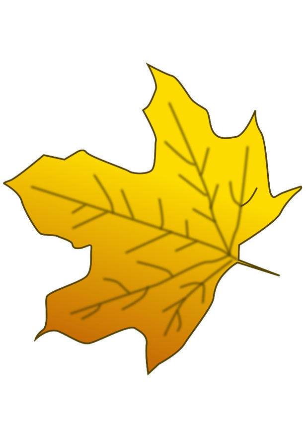 herfstblad Afbeelding herfstblad