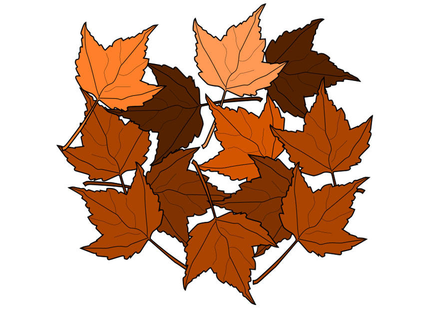herfstbladeren Afbeelding herfstbladeren