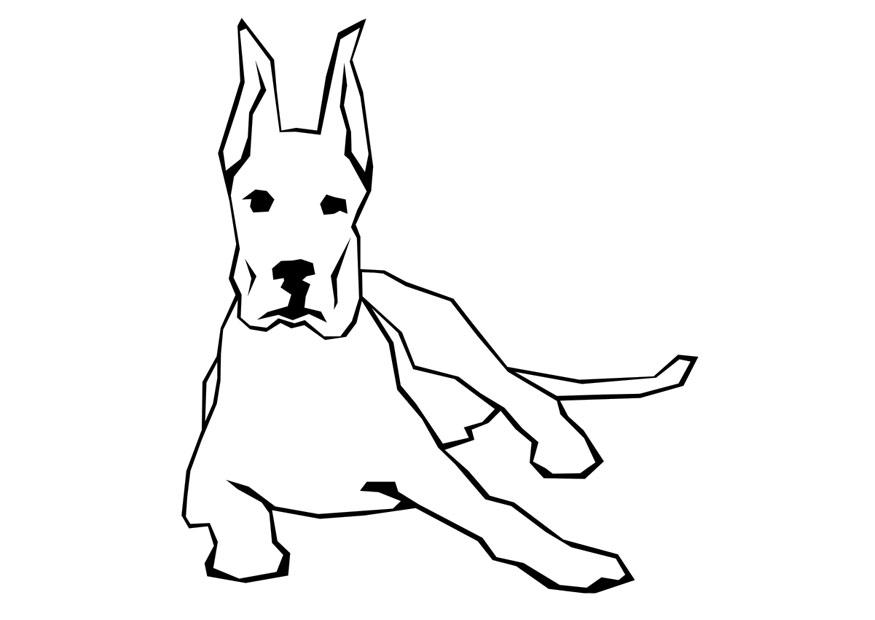 hond Kleurplaat hond