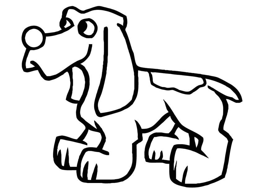 hond Kleurplaat hond