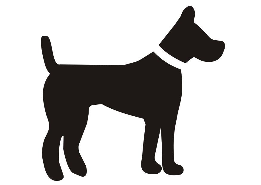 hond Kleurplaat hond