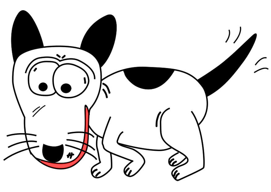hond Afbeelding hond