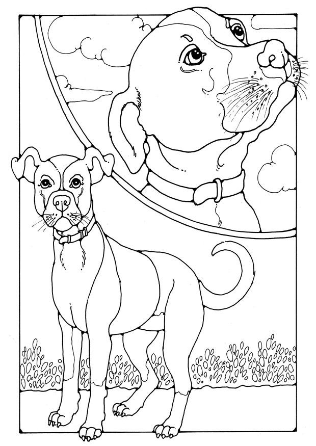 hond Kleurplaat hond