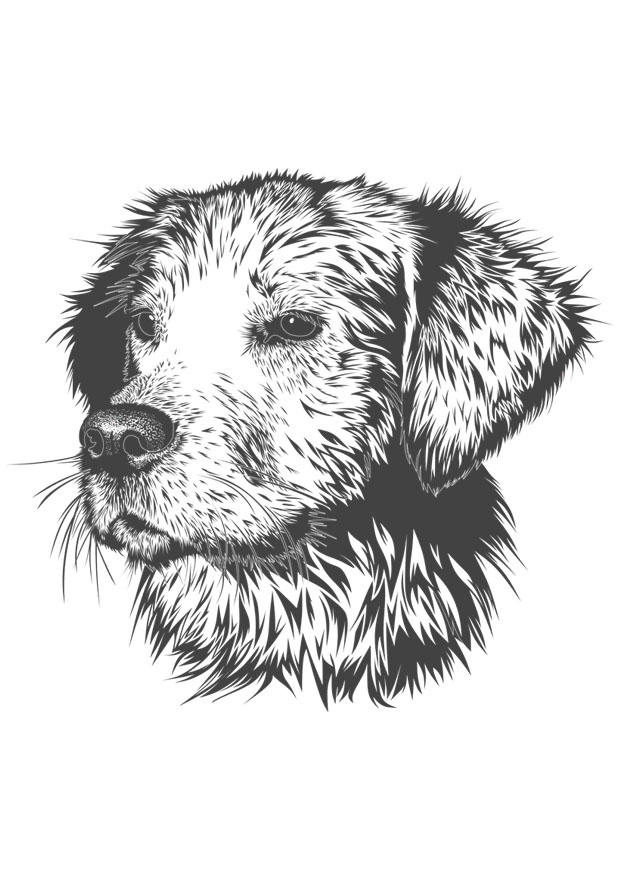 hond Kleurplaat hond