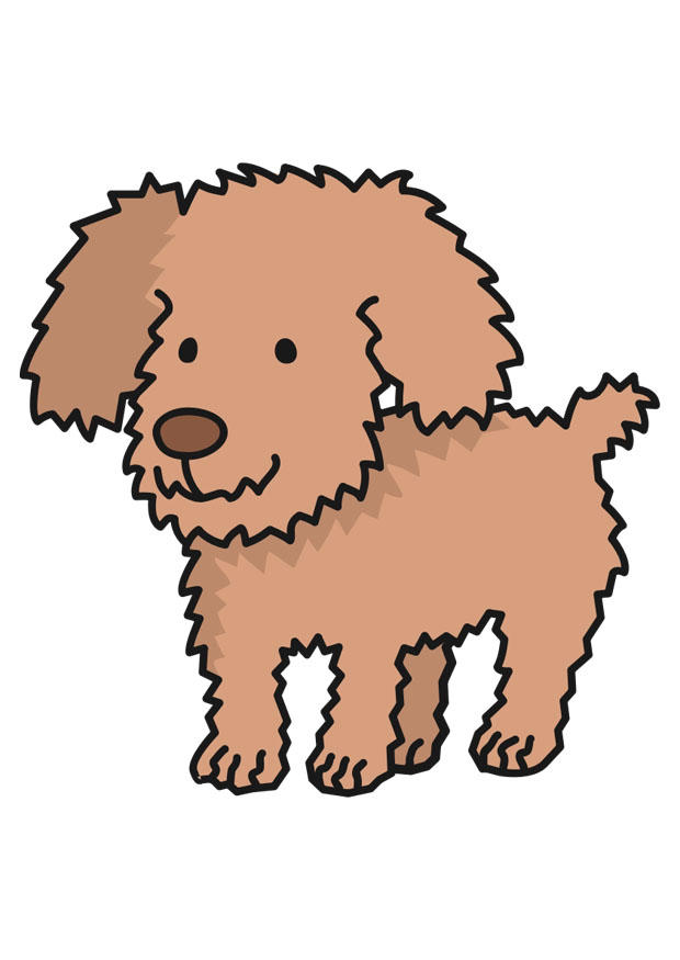 hond Afbeelding hond