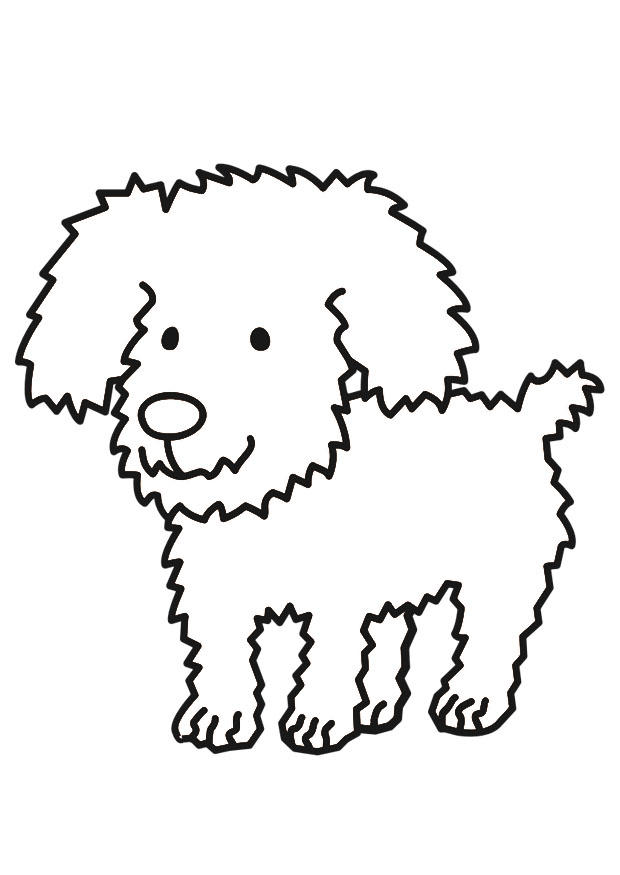 hond Kleurplaat hond