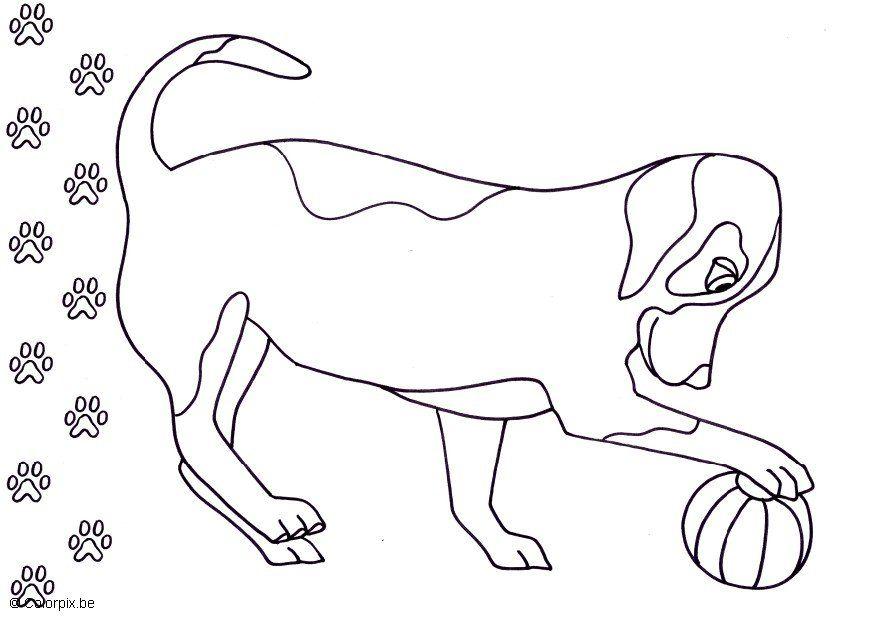 hond Kleurplaat hond