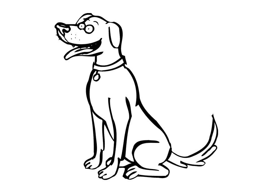 hond Kleurplaat hond