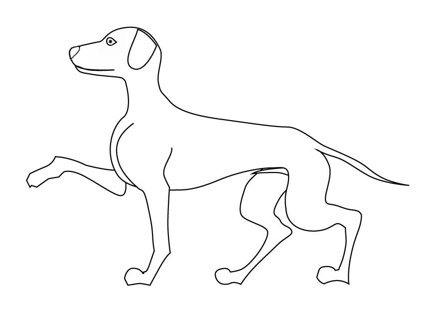 hond Kleurplaat hond