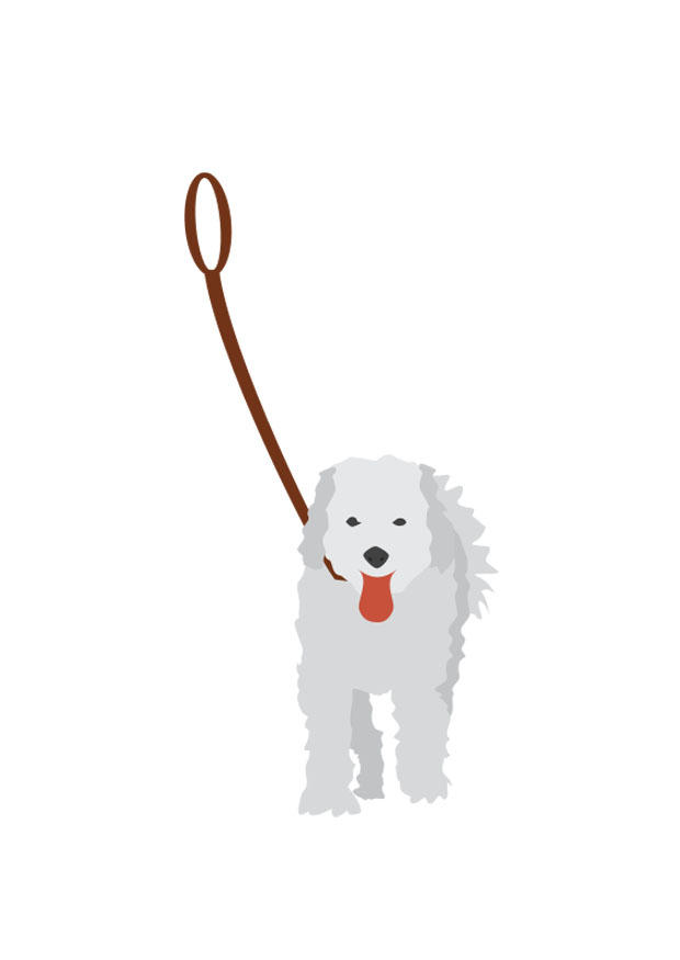 hond aan leiband Afbeelding hond aan leiband