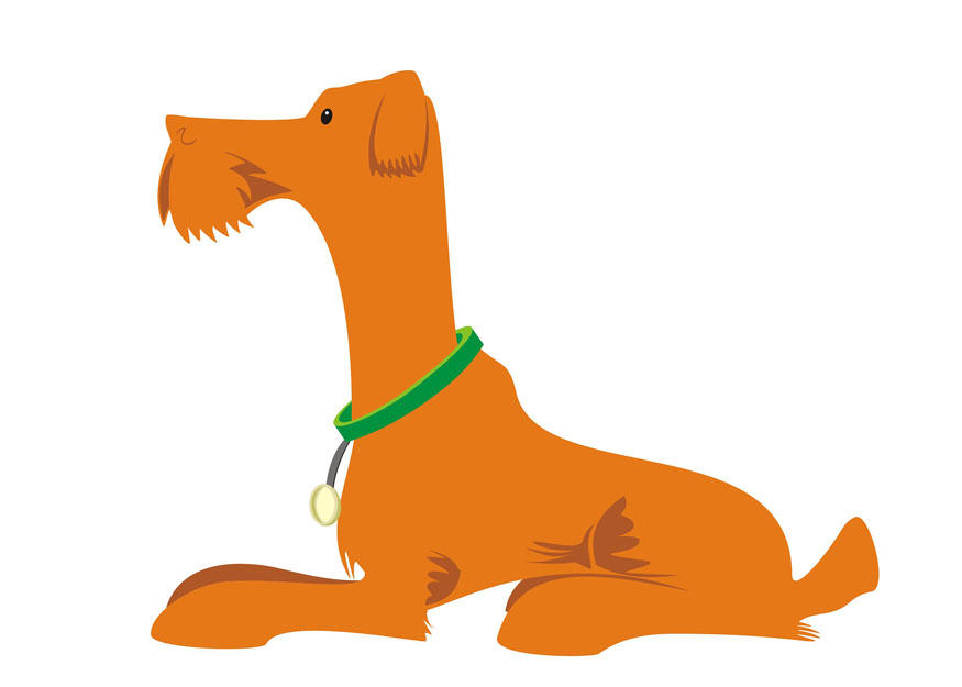 hond - liggen Afbeelding hond - liggen