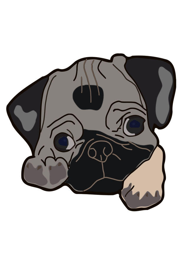 hond - mops Afbeelding hond - mops