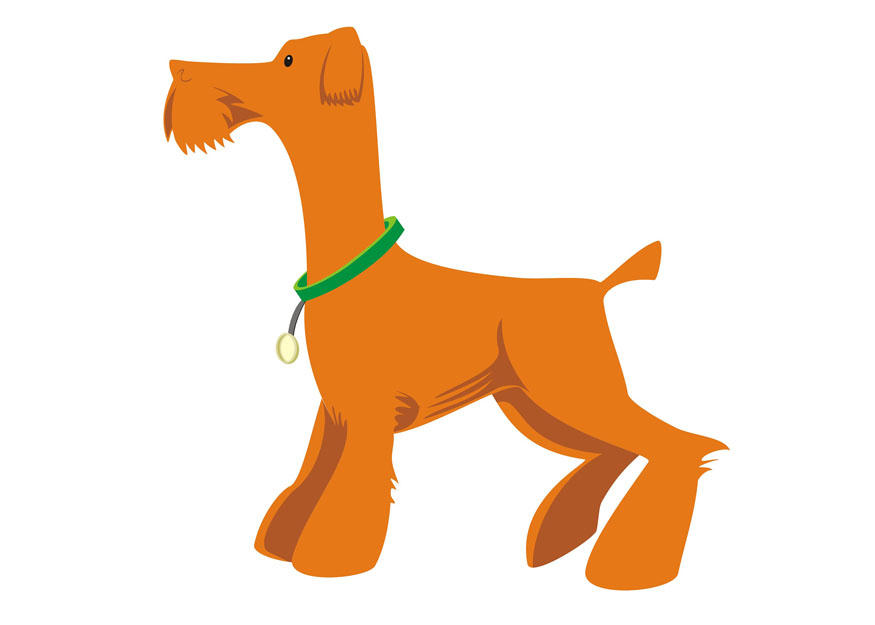 hond - staan Afbeelding hond - staan