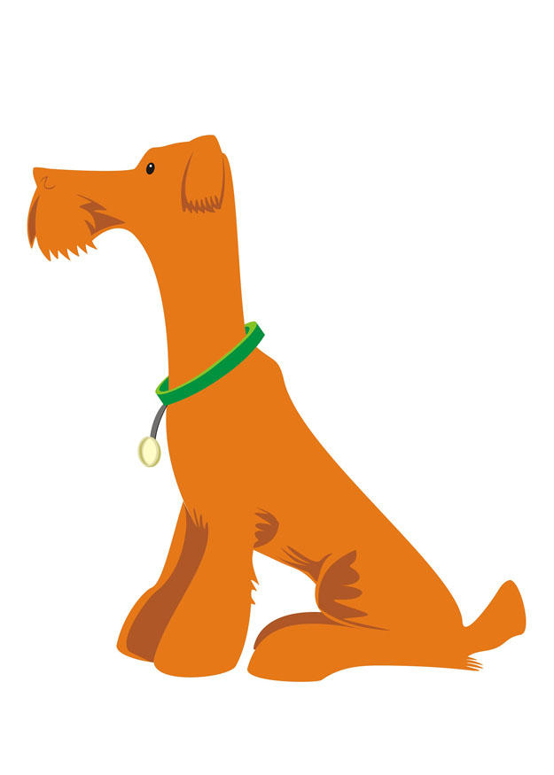 hond - zitten Afbeelding hond - zitten