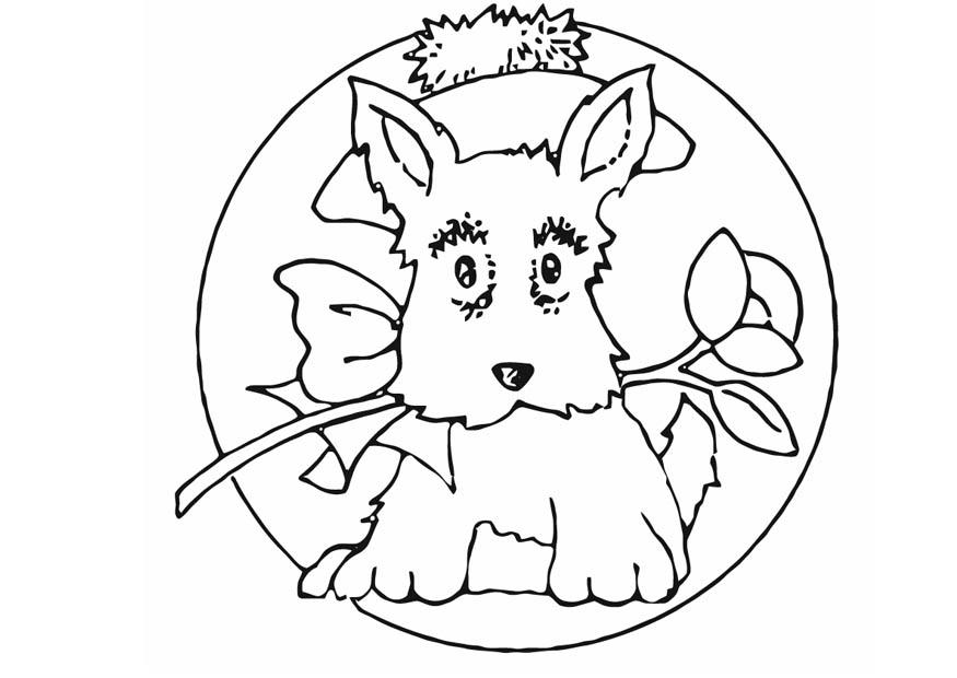 hondje Kleurplaat hondje
