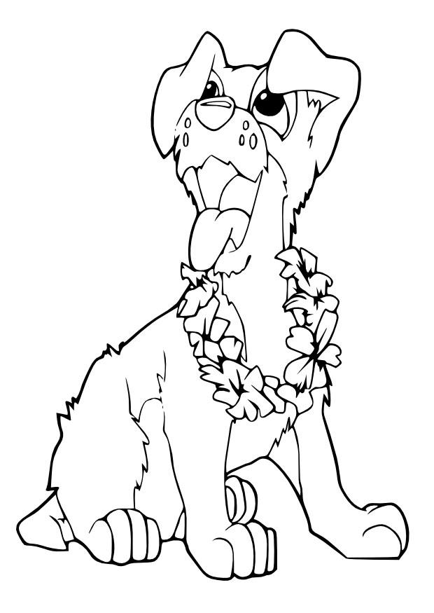 hondje Kleurplaat hondje
