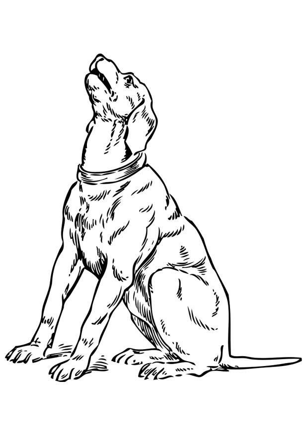 huilende hond Kleurplaat huilende hond