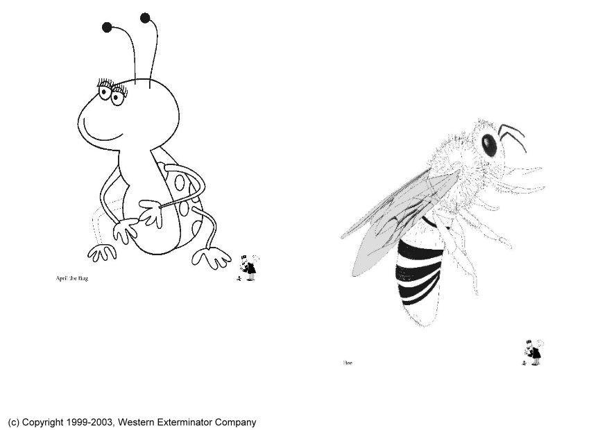 insecten Kleurplaat insecten