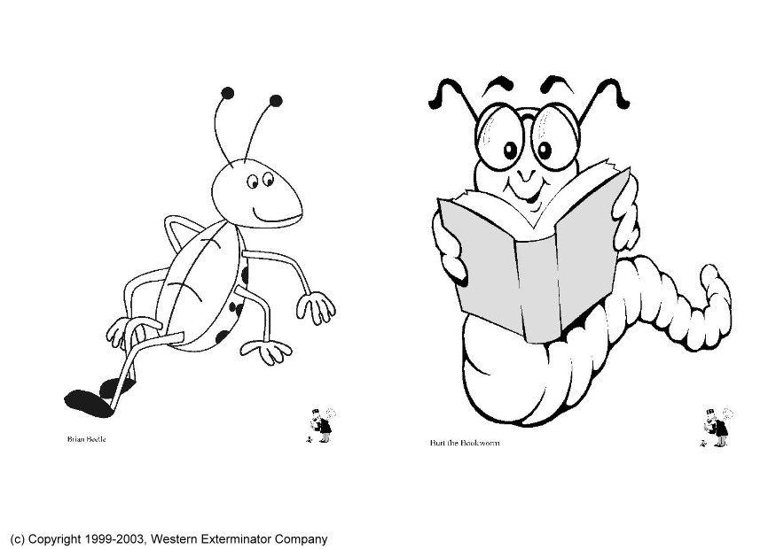 insecten Kleurplaat insecten
