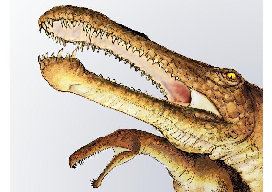 irritator dinosaurus Afbeelding irritator dinosaurus