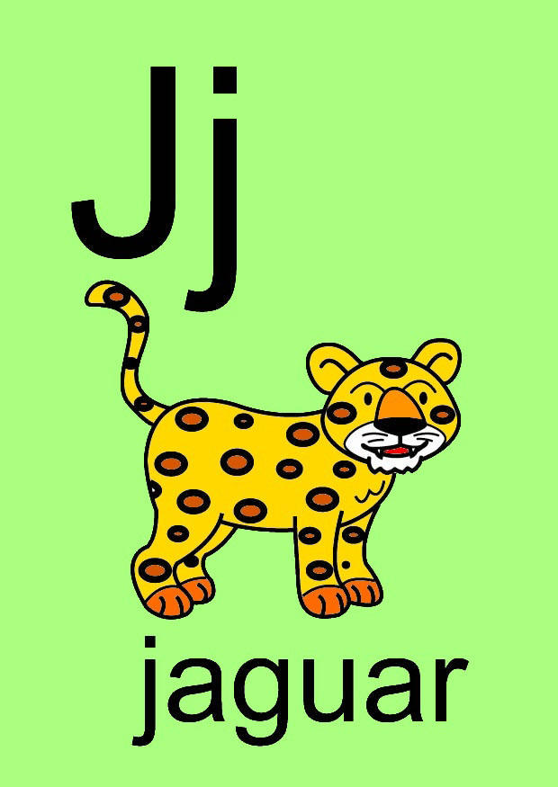 j Afbeelding j
