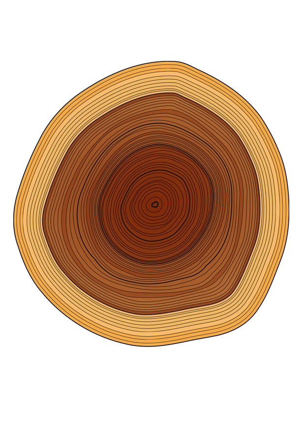 jaarringen boom Afbeelding jaarringen boom