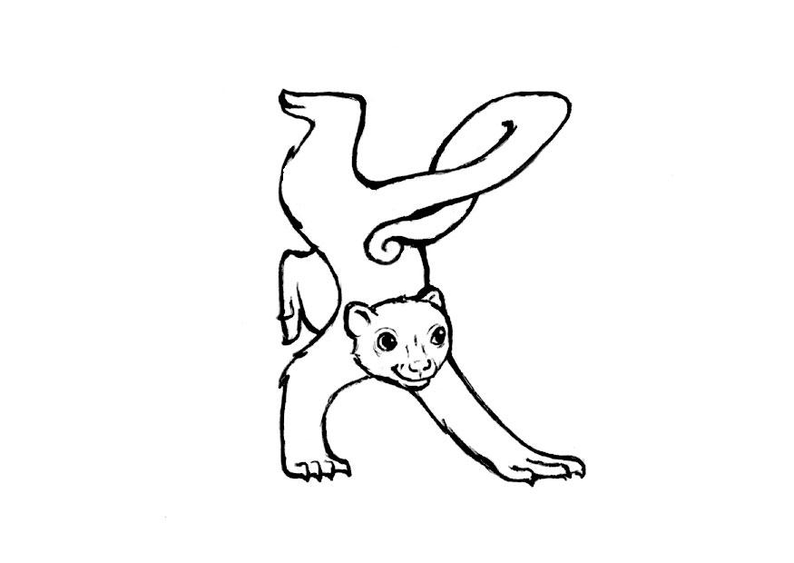 k-kinkajou Kleurplaat k-kinkajou