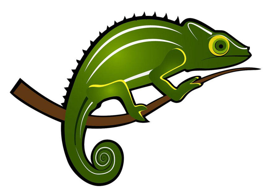 kameleon Afbeelding kameleon