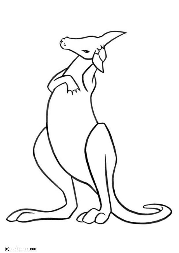 kangeroe Kleurplaat kangeroe