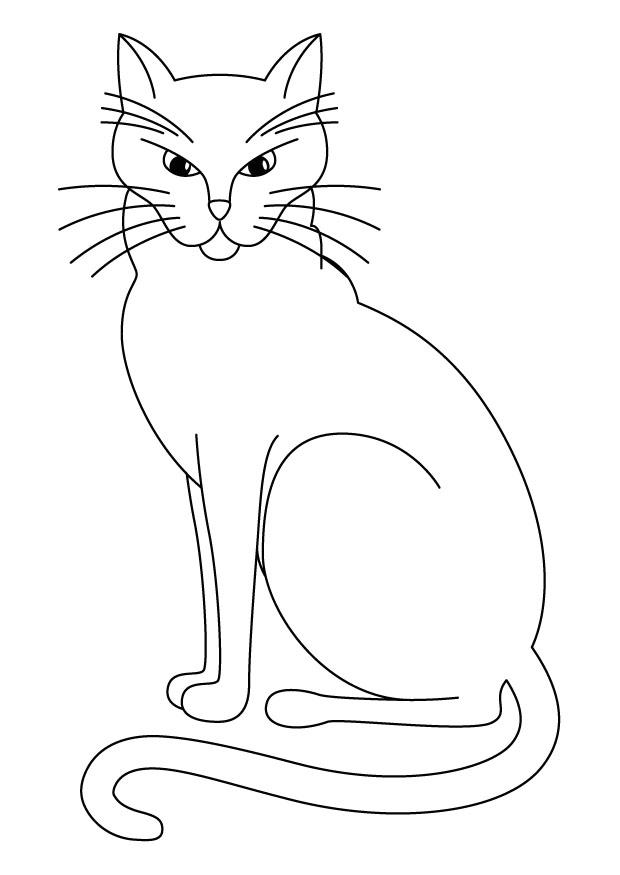 kat Kleurplaat kat