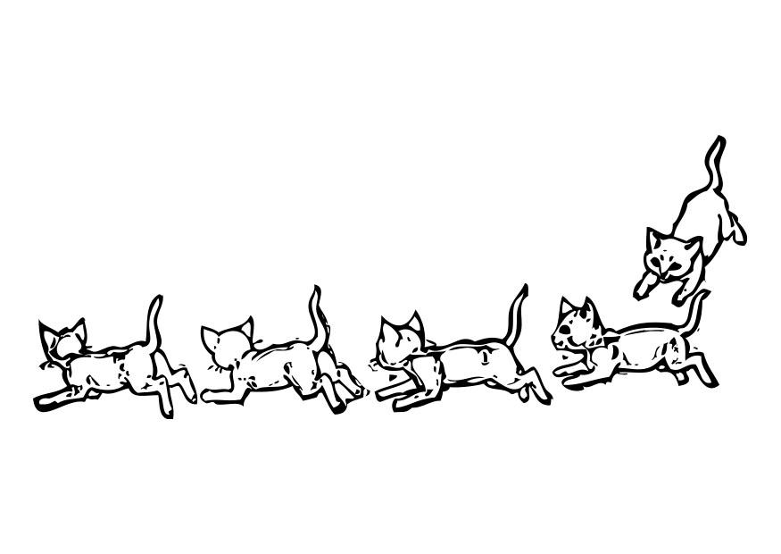 katten Kleurplaat katten