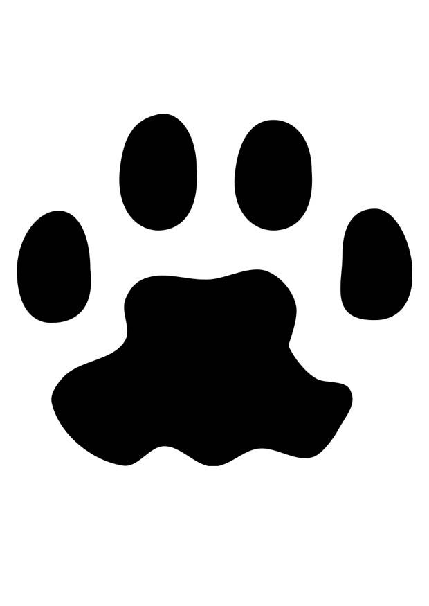 kattenpoot Kleurplaat kattenpoot