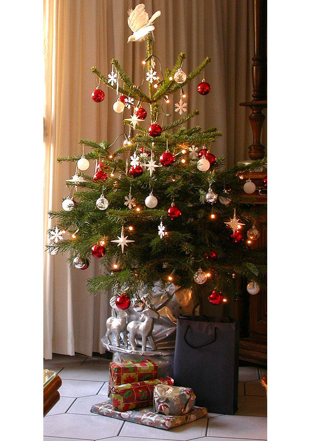kerstboom Foto kerstboom