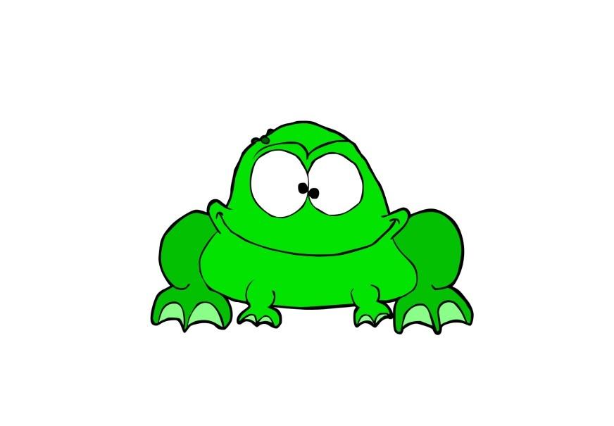 kikker Afbeelding kikker