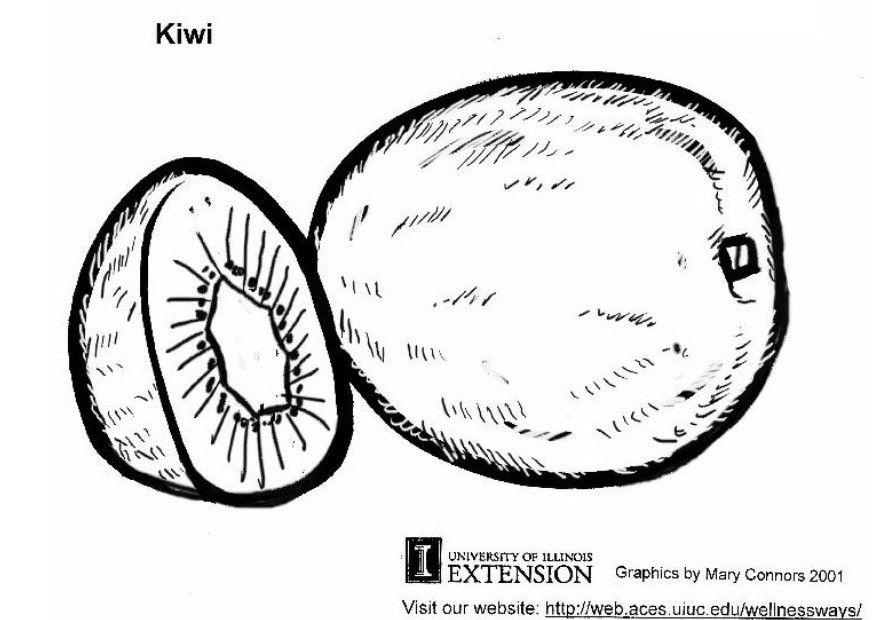 kiwi Kleurplaat kiwi