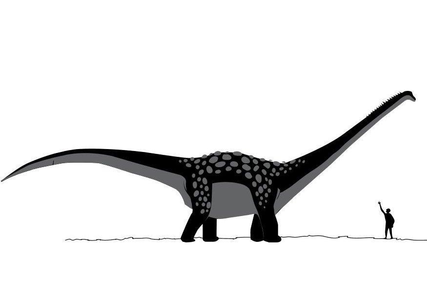Kleurplaat antarctosaurus