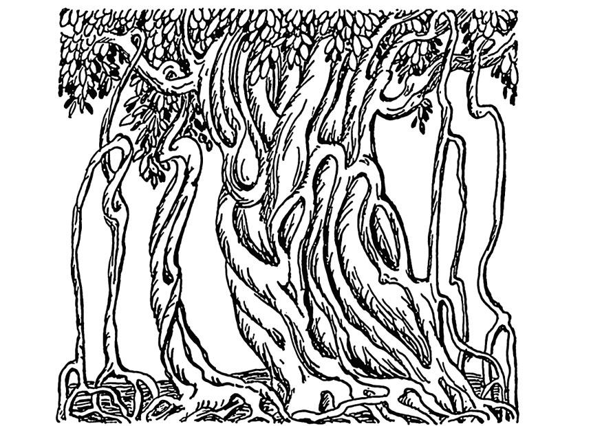 Kleurplaat banyan boom
