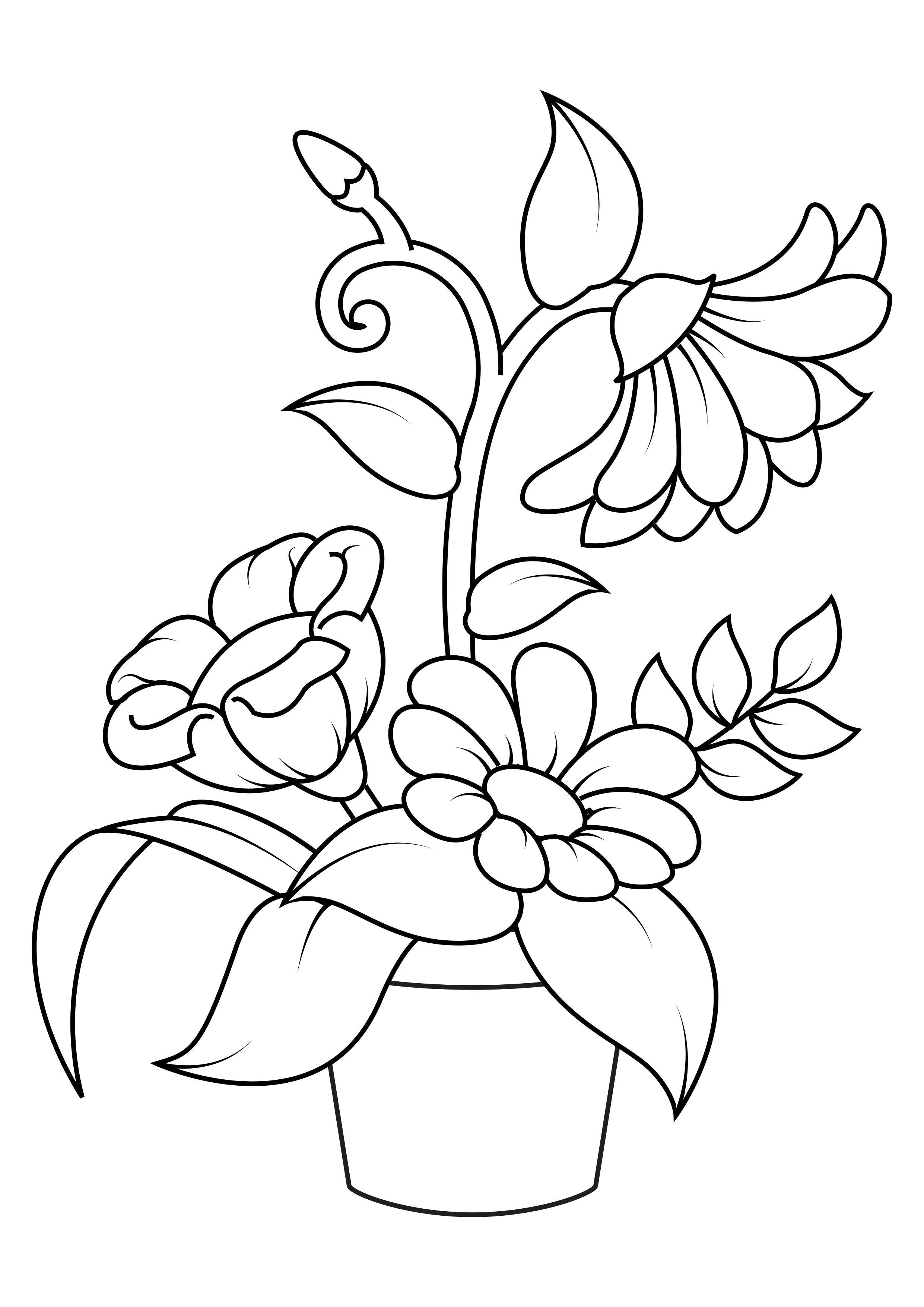 Kleurplaat bloemen