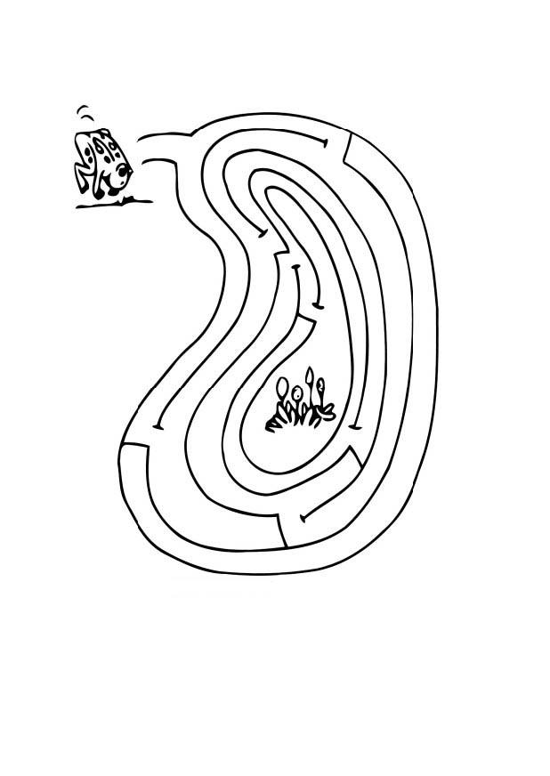 Kleurplaat doolhof - kikker