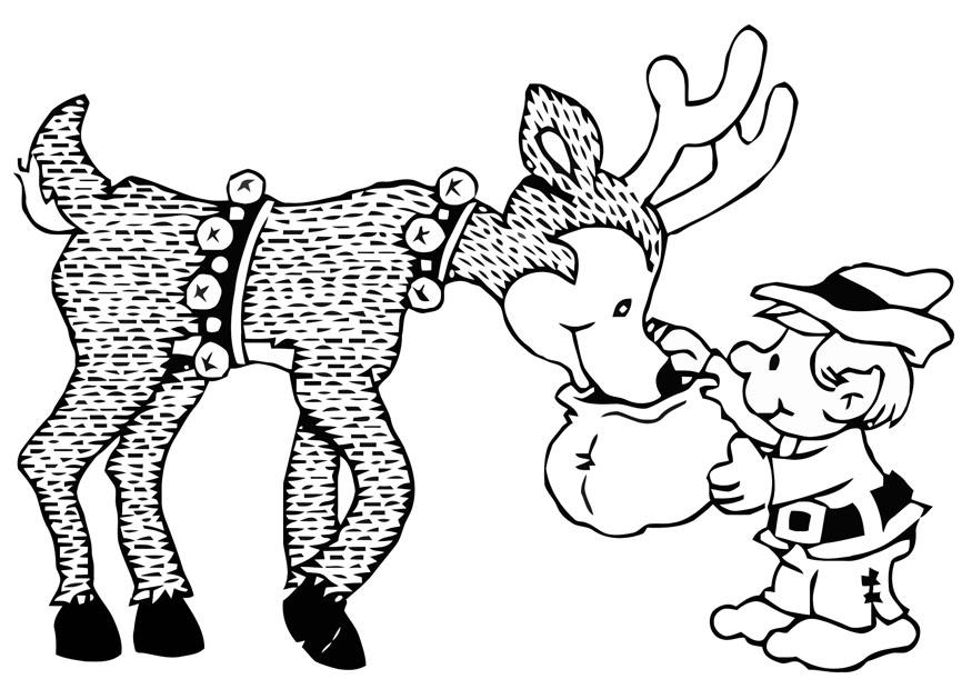 Kleurplaat elf met rendier 