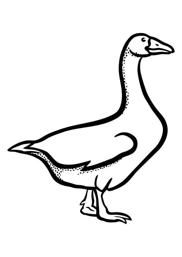 Kleurplaat hans
