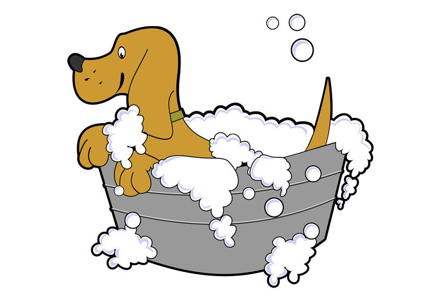 Kleurplaat hond wassen
