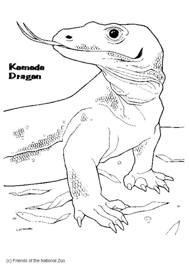 Kleurplaat komodo varaan
