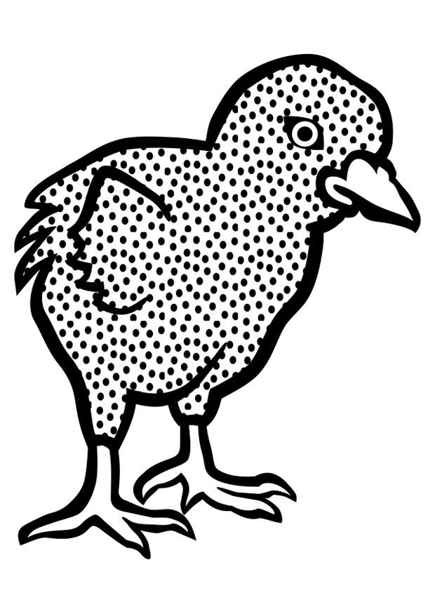 Kleurplaat kuiken
