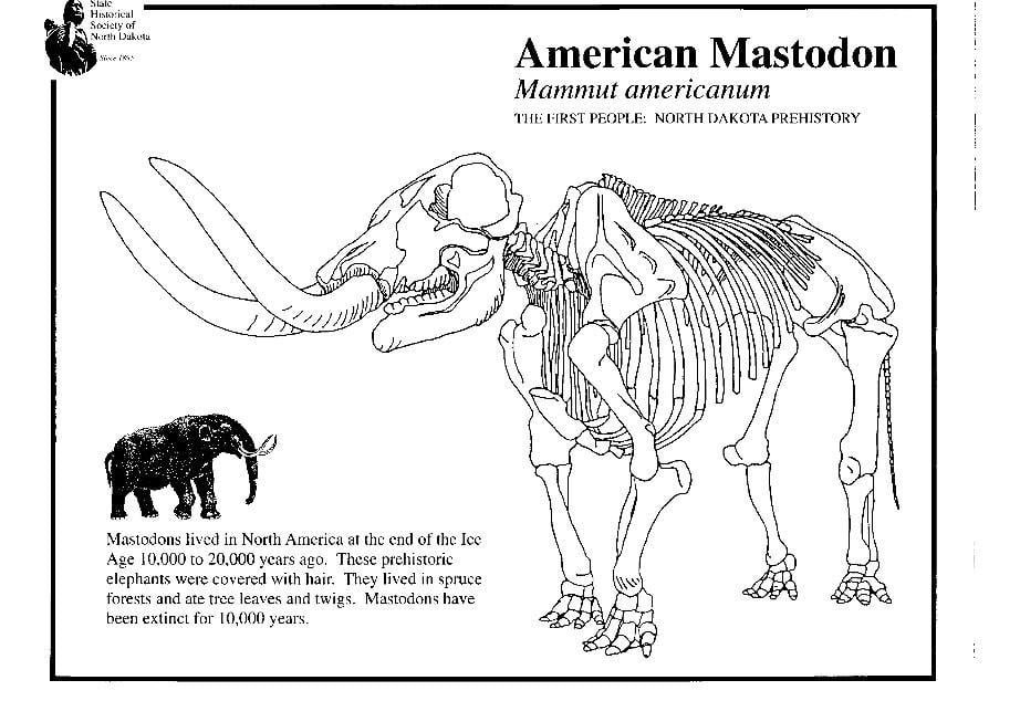 Kleurplaat mastodon