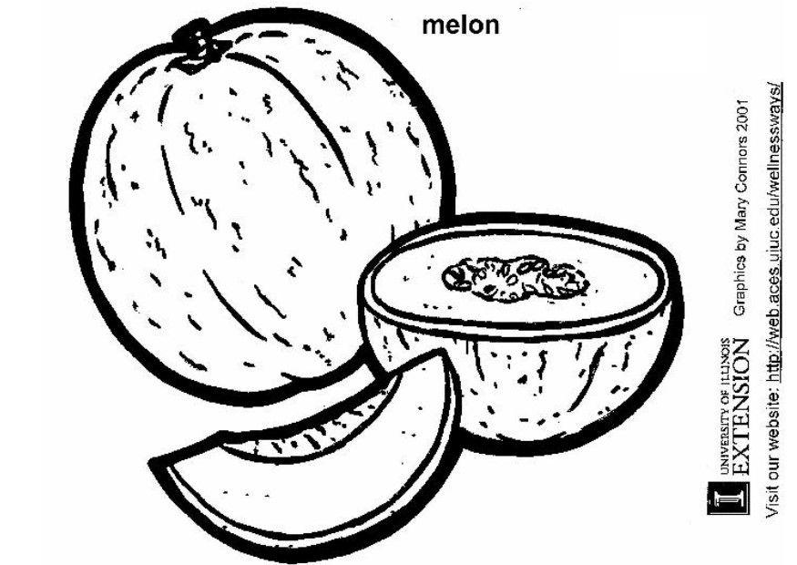 Kleurplaat meloen