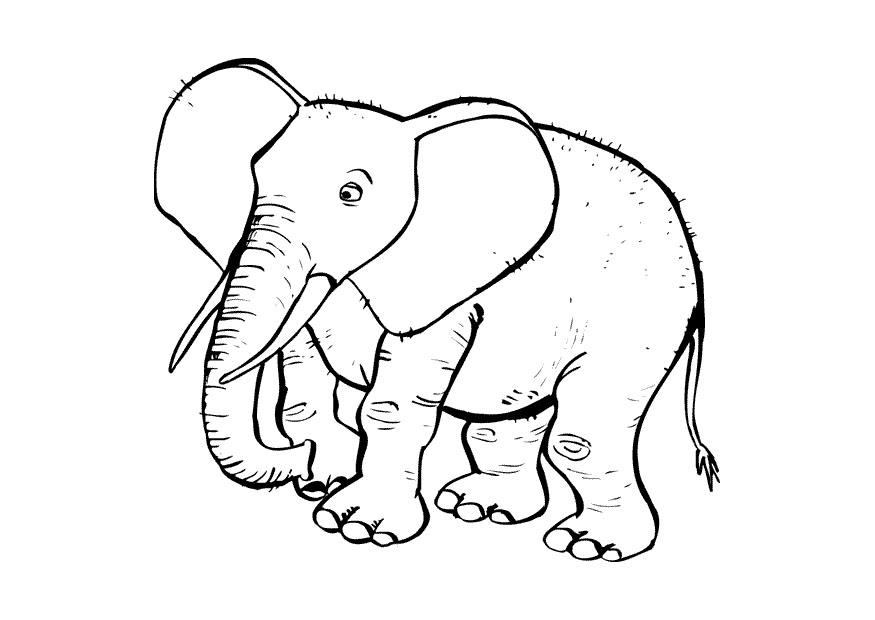Kleurplaat olifant